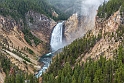 Lower Yellowstone Falls_YST2331